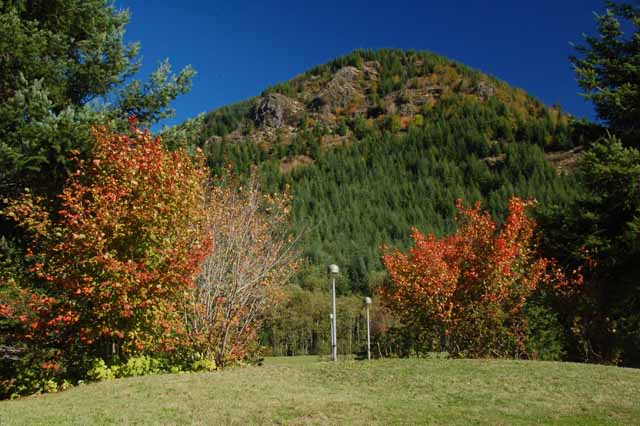 autumn trees near the Hoffstadt Bluffs VC